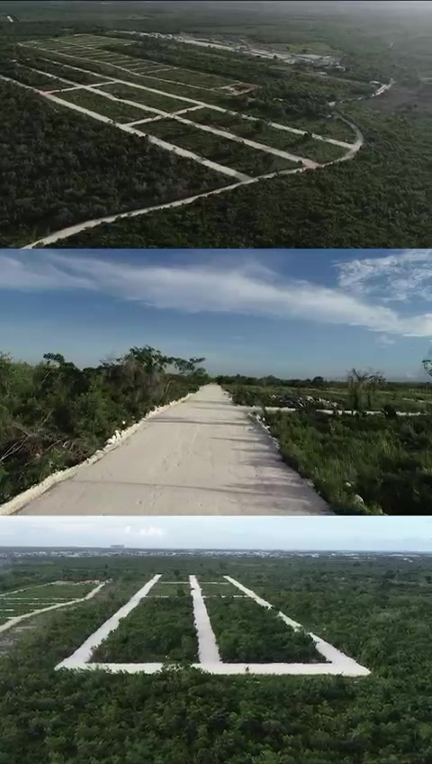 Acceso interior del Proyecto Rosa Palma