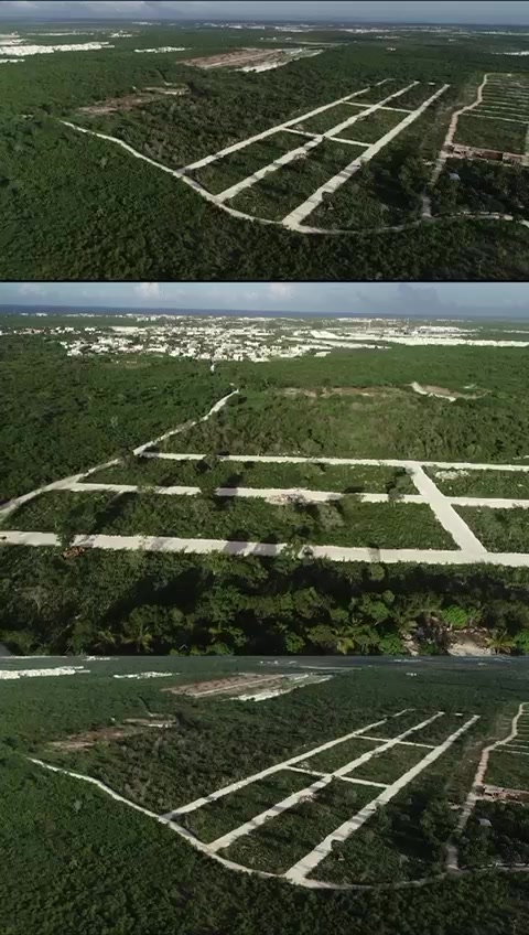 Vista aérea del Proyecto Rosa Palma